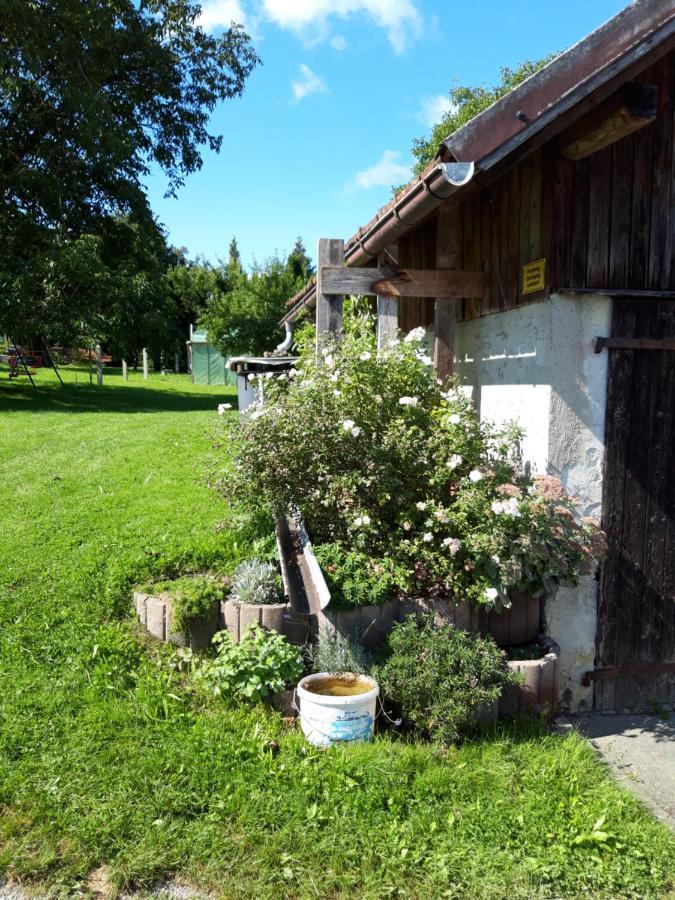 Ferienwohnung Im Seidlerhof Mit Balkon Und Garten Röhrnbach Exteriér fotografie
