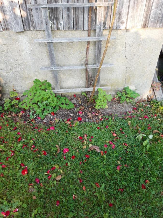 Ferienwohnung Im Seidlerhof Mit Balkon Und Garten Röhrnbach Exteriér fotografie