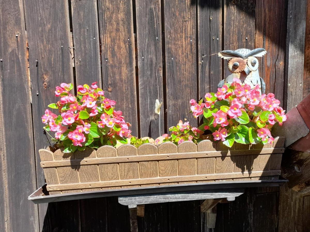 Ferienwohnung Im Seidlerhof Mit Balkon Und Garten Röhrnbach Exteriér fotografie